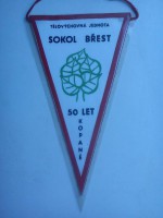 /album/brest1/brest-tj-sokol-50-19-jpg/